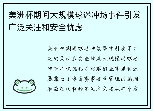 美洲杯期间大规模球迷冲场事件引发广泛关注和安全忧虑